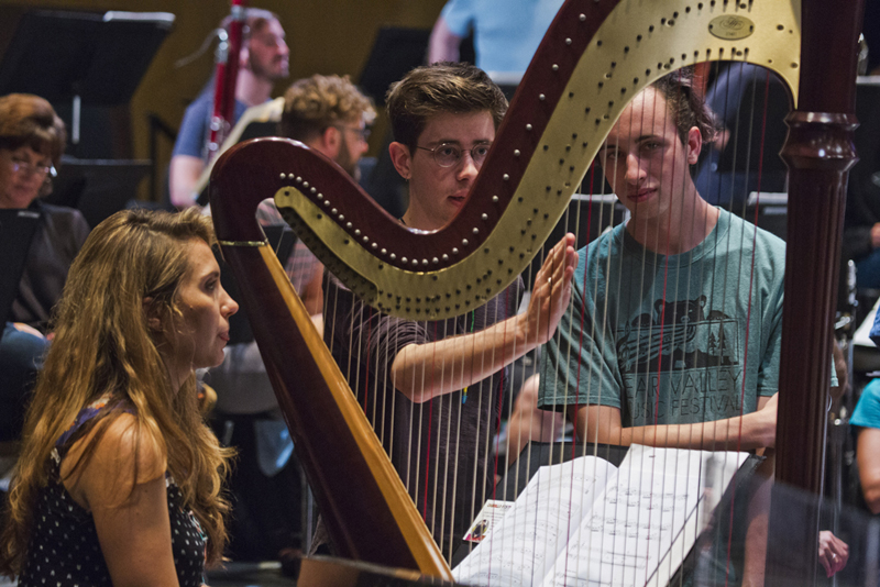 Student Staffers learn about the harp from Cheryl Losey Feder. photo by rr jones